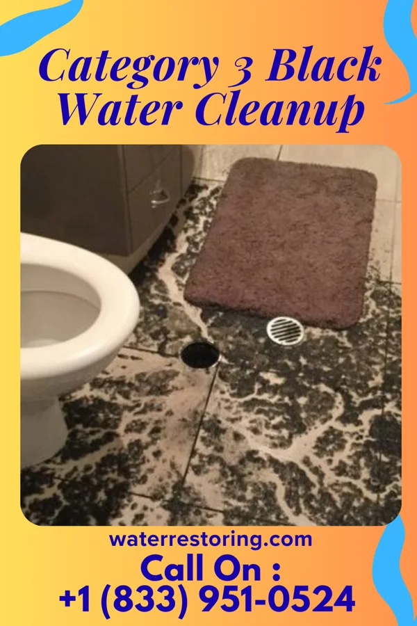 Category 3 Black Water Cleanup in Hillview, IL