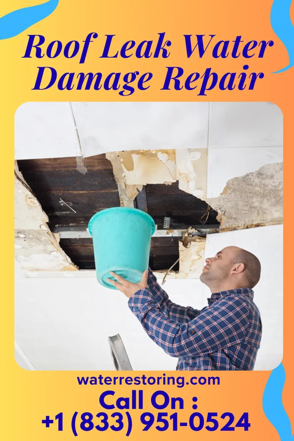 Roof Leak Water Damage Repair in Hillview, IL