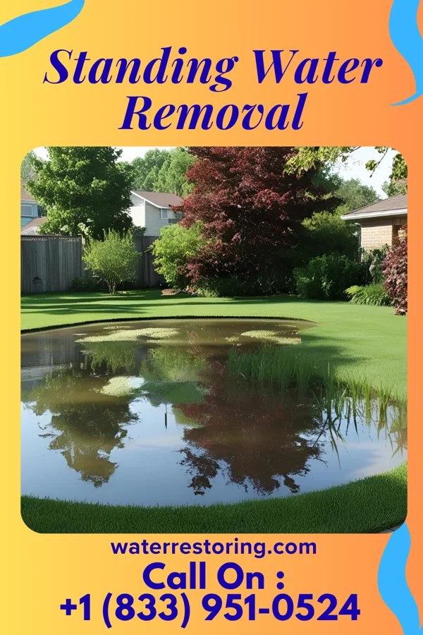 Standing Water Removal in Hillview, IL